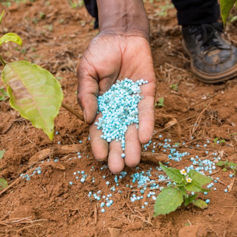 कृषि उर्वरक (Agricultural Fertilizers) category