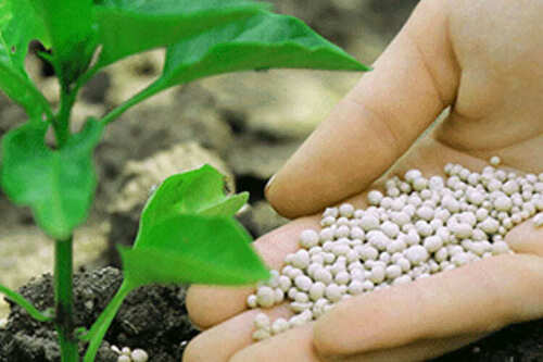 रासायनिक कीटनाशक (Chemical Pesticides) category