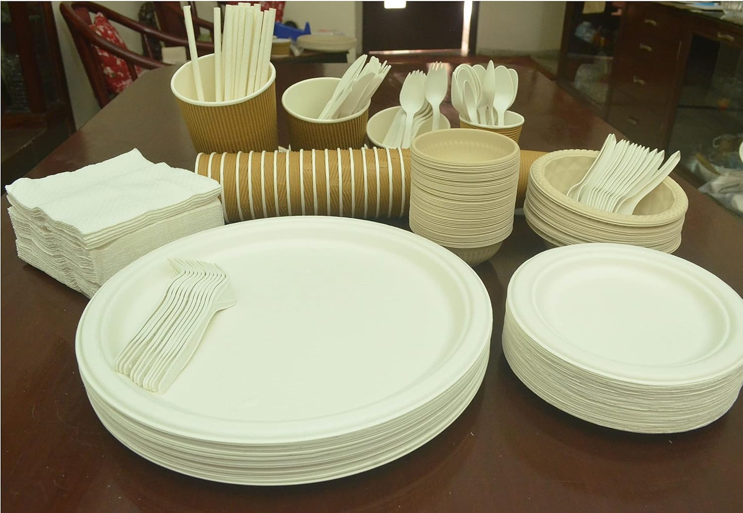 पर्यावरण अनुकूल डिस्पोजेबल (Eco-Friendly Disposable Products) category