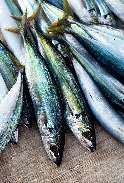 मछली (Fish) category