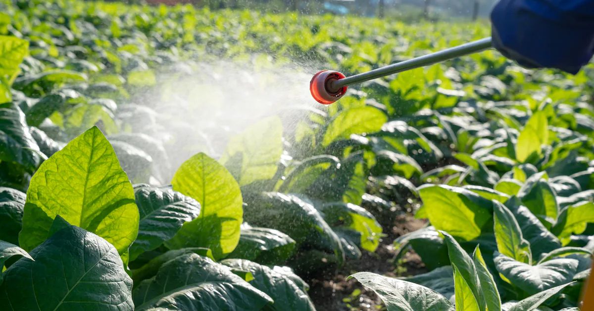 कीटनाशकों (Pesticides) category