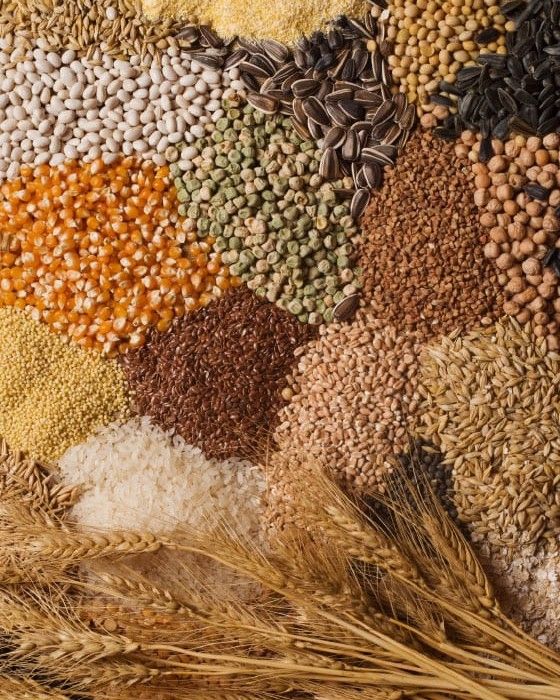 बीज (Seeds) category