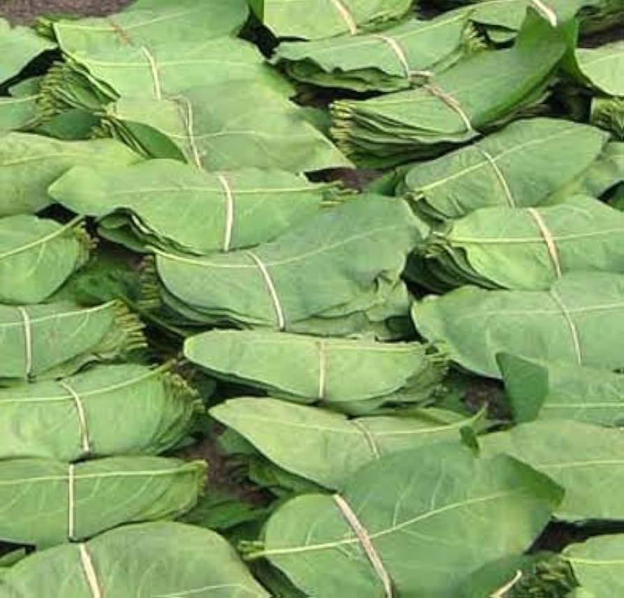 तेंदूपत्ता उत्पाद (Tendu Leaf Products) category