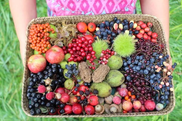 जंगली फल (Wild Fruits) category