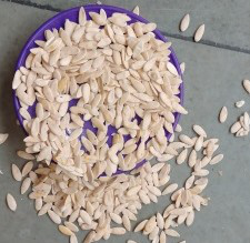 Muskmelon Seed