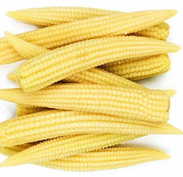 Baby Corn - Vegetable