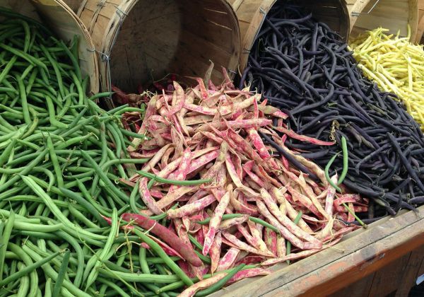 Phali (Beans) - Vegetable