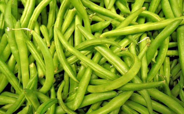 Phali (Beans) - Green Bean - Vegetable