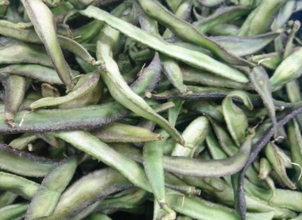 Phali (Beans) - Sem - Vegetable