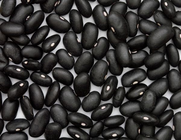 Beans - Black Turtle Bean