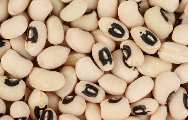 Beans - Black-eyed Beans / Lobia / White Lobia