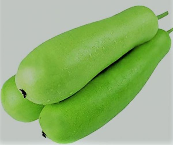 Bottle Gourd (Lauki / Calabash)