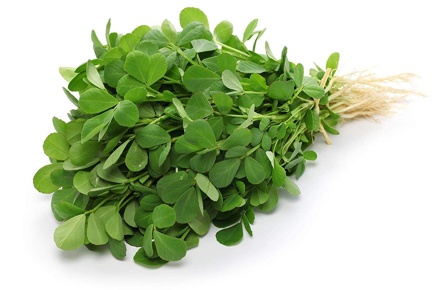 Fenugreek Powder