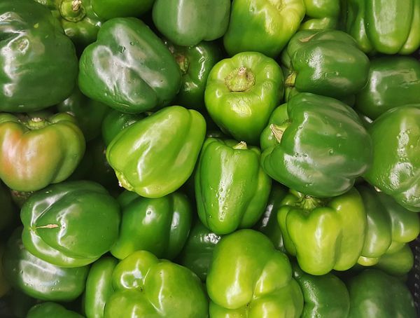 Capsicum - Green