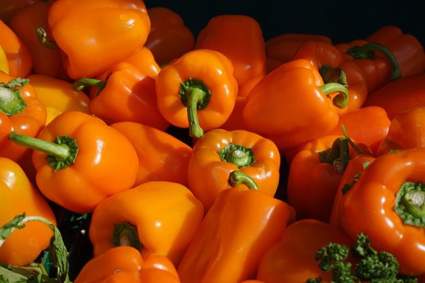 Capsicum - Orange