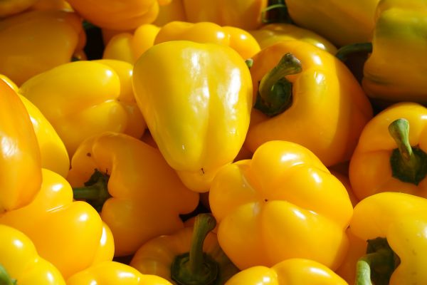 Capsicum - Yellow