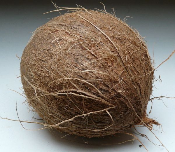 Coconut - Dry with Water