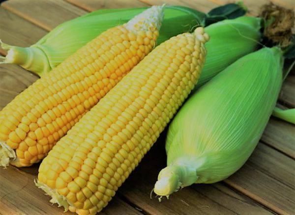 Corn (Bhutta) - Vegetable
