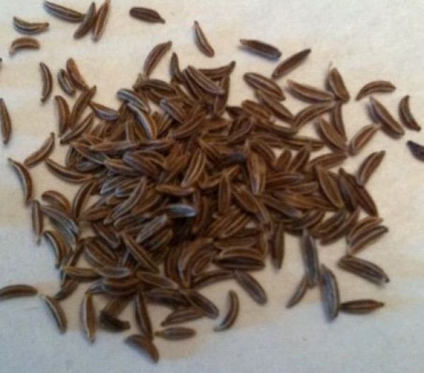 Cumin