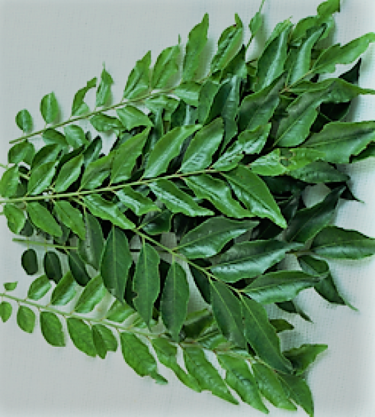 Curry Leaves