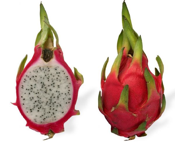 Dragon Fruit