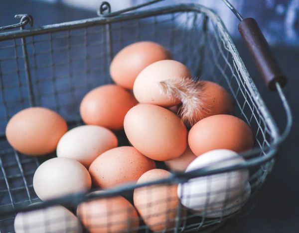 Eggs - Animal Product