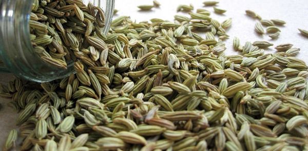 Fennel - Seed - Spice