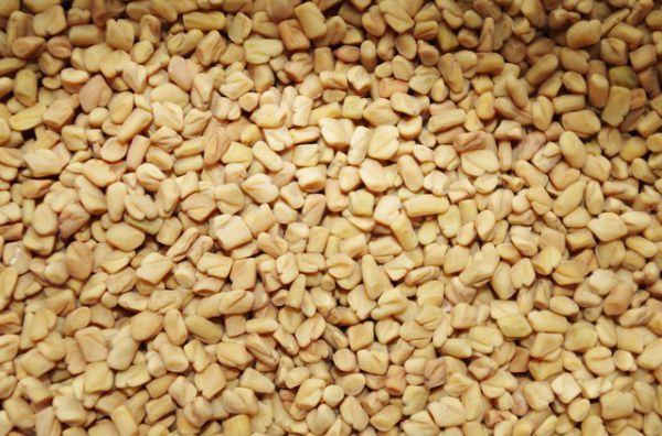 Fenugreek - Seeds