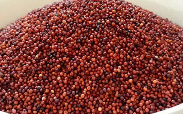 Millet - Finger Millet (Ragi)