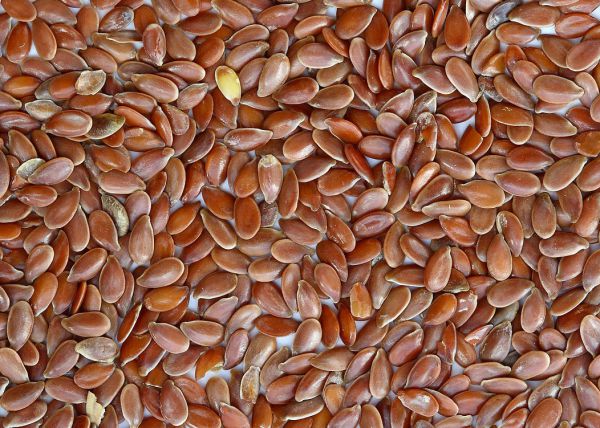 Flaxseed - Brown - Oil Crop / Grain
