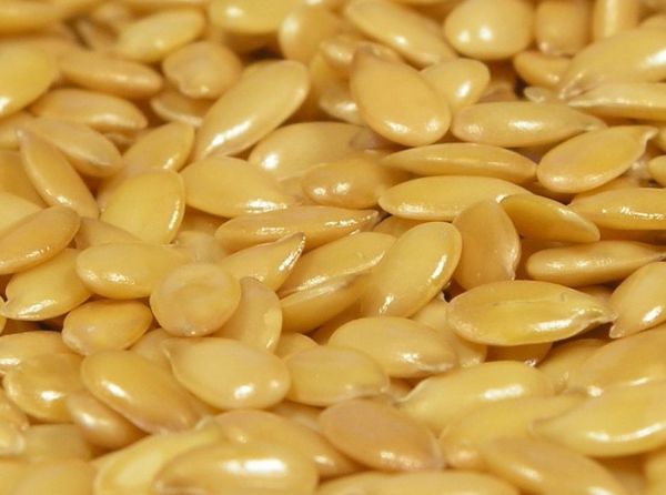 Flaxseed - Golden - Oil Crop / Grain