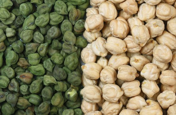 Gram (Chickpea) - Grain