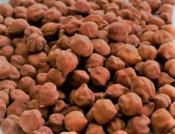 Gram (Chickpea) - Desi - Grain