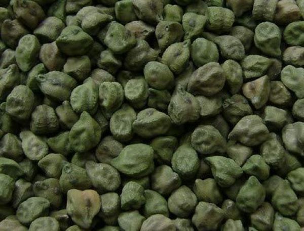 Gram (Chickpea) - Green - Grain