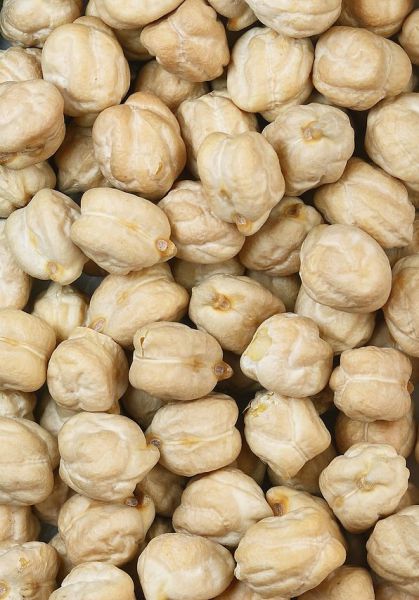 Gram (Chickpea) - Dollar / Chola / Kabuli - Grain