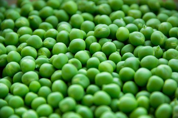 Green Peas (Matar Daane)