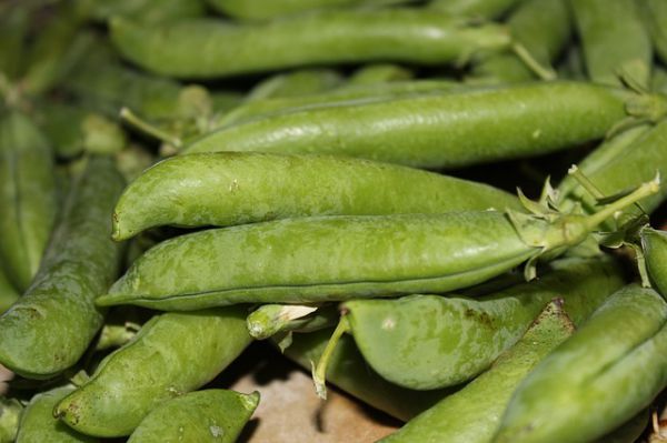 Green Peas (Matar Phali)