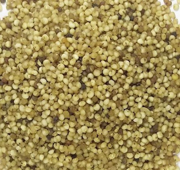 Millet - Kodo Millet