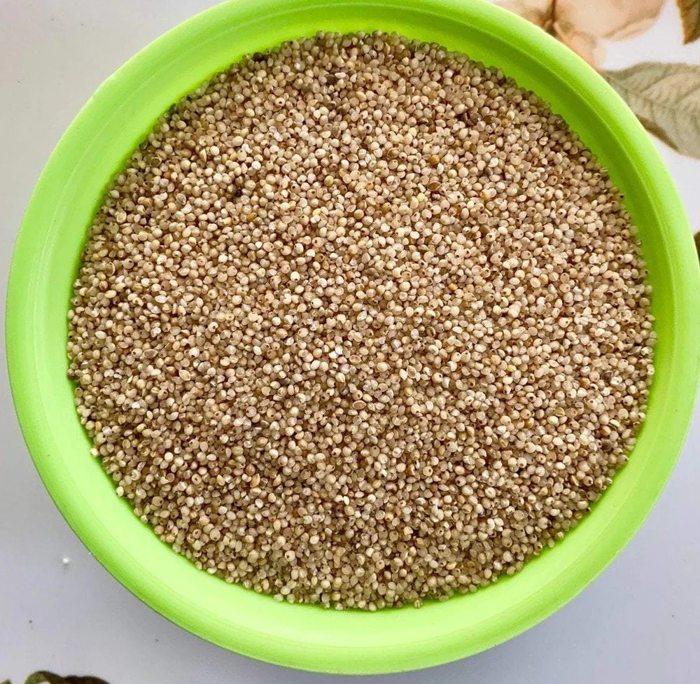 मिलेट - कुटकी (Millet - Little Millet (Kutki))