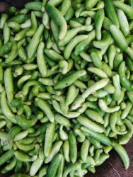 Ivy Gourd (Tindori)