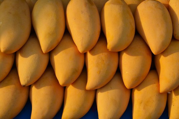 Mango - Fruit
