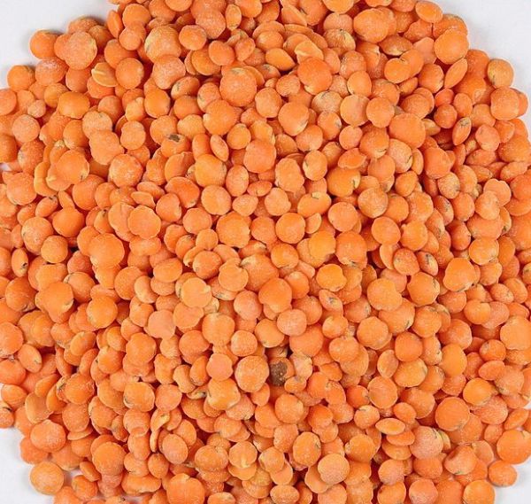 Pulse - Masoor - Lentil