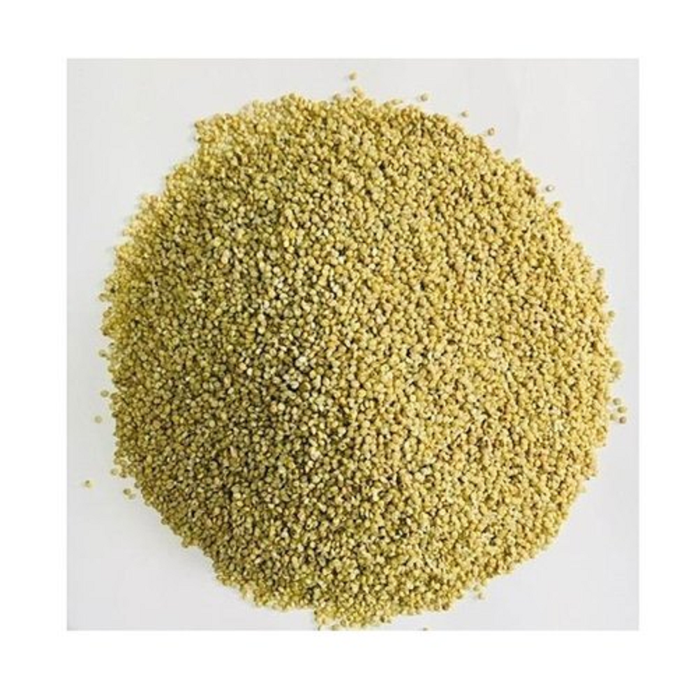 Millet - Browntop Millet (Hari Kangni, Choti Kangni