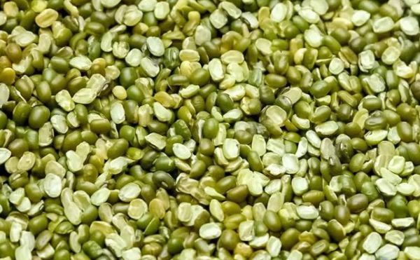 Pulse - Moong / Mung Bean