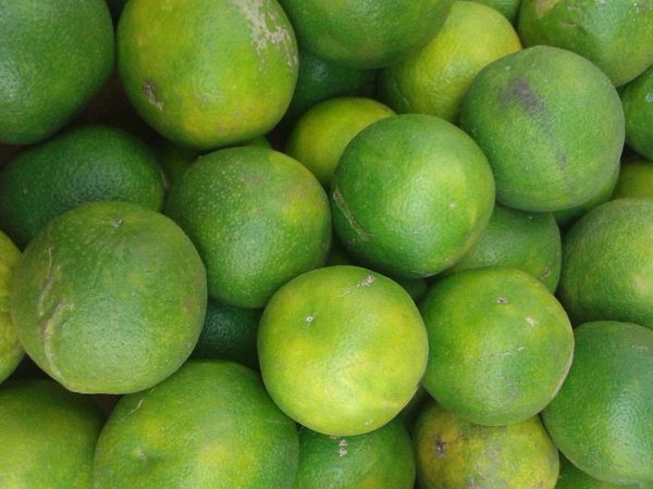 Mousambi (Citrus Limetta) - Fruit