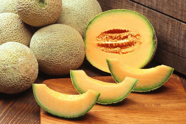 Muskmelon - Fruit