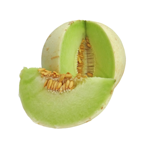 Muskmelon - Honeydew - Fruit
