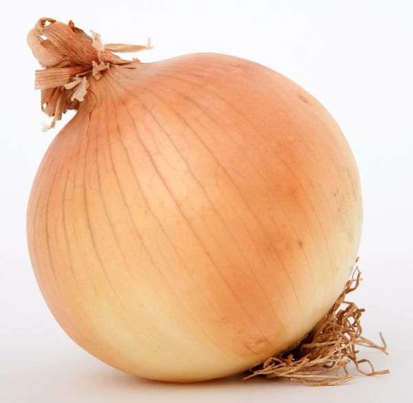 Onion - Yellow