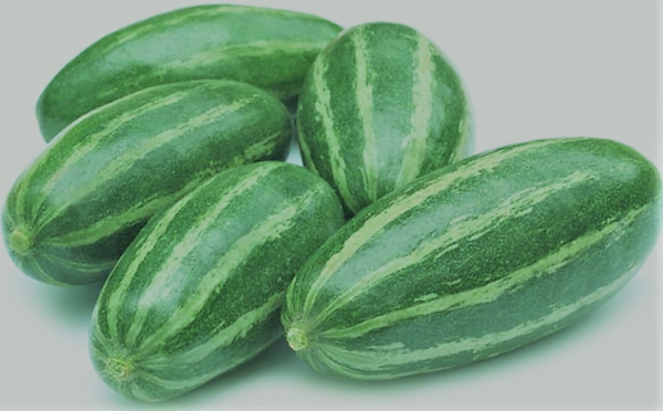 Parwal (Pointed Gourd)