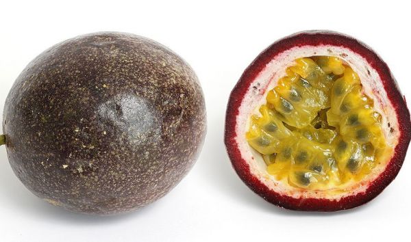 Passion Fruit – Purple